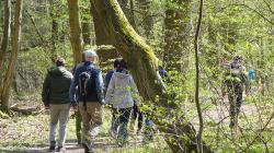 Foto: WaldResort Hainich
