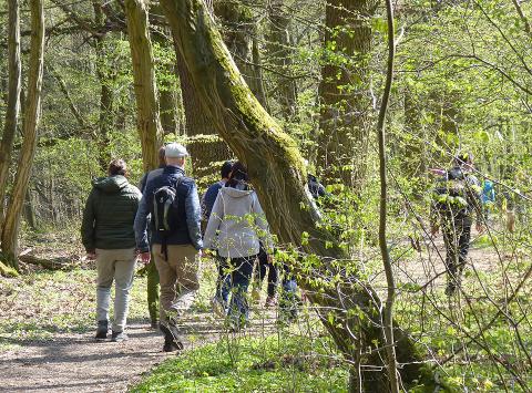 Foto: WaldResort Hainich